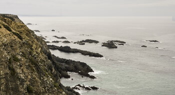 Photo_ActuCôtesd'Armor