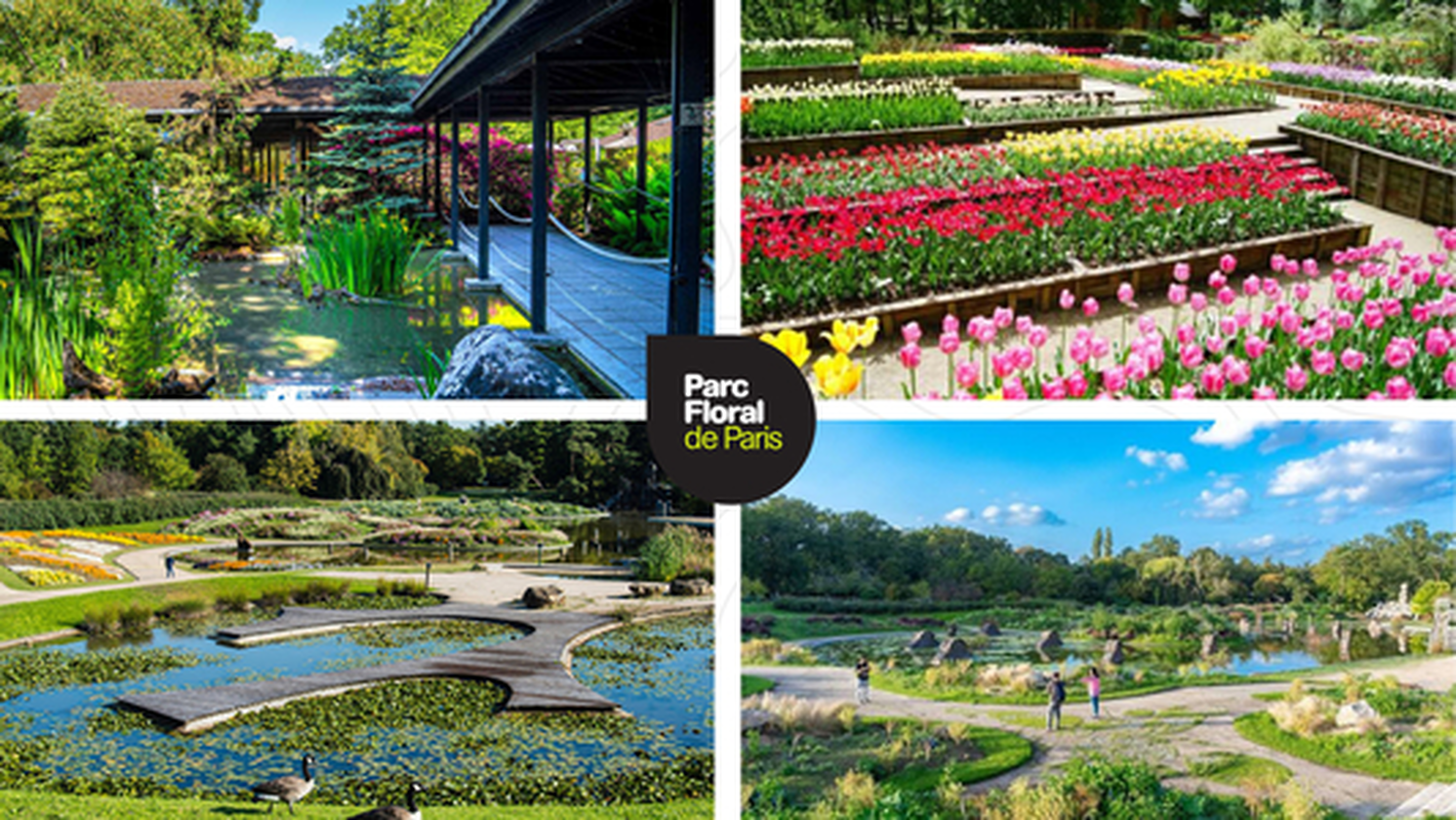 parc floral de paris.jpg