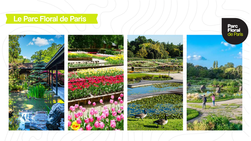 parc floral de paris.png