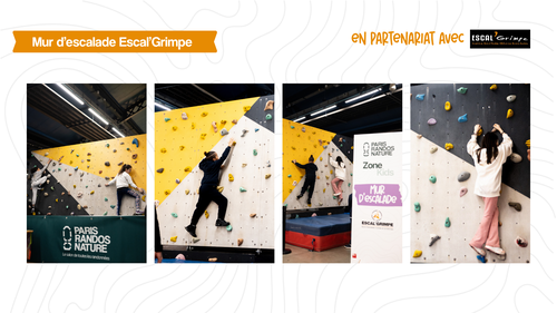 mur escal'grimpe.png